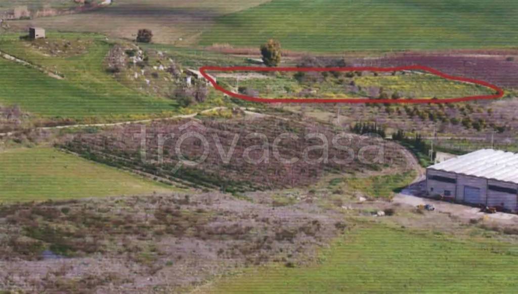 terreno agricolo in vendita a Butera