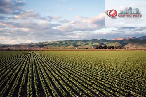 casa indipendente in vendita a Butera