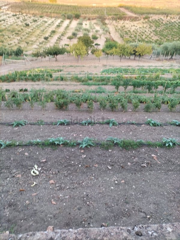 casa indipendente in vendita a Butera