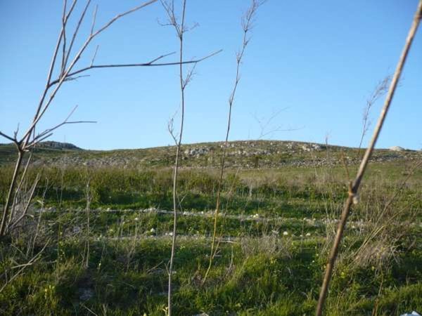 terreno agricolo in vendita a Butera