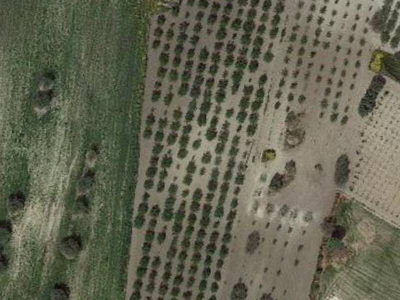 terreno agricolo in vendita a Butera