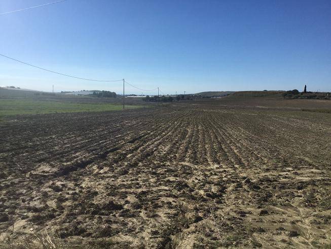 terreno in vendita a Butera