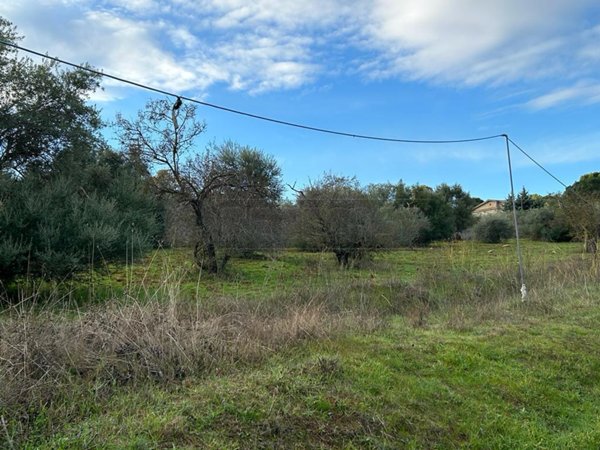 terreno agricolo in vendita a Caltanissetta