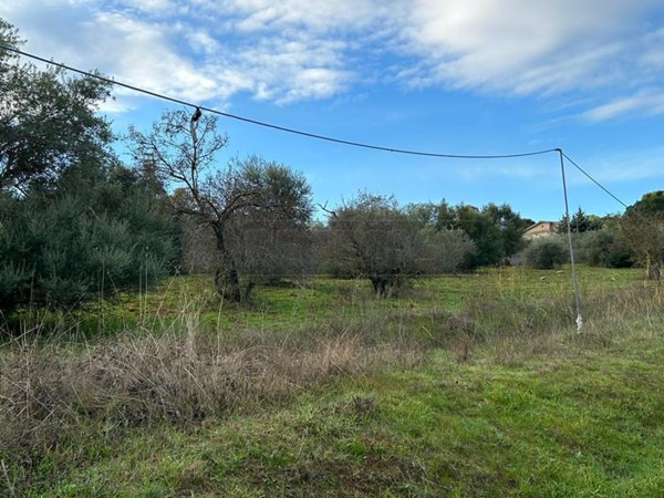 terreno agricolo in vendita a Caltanissetta