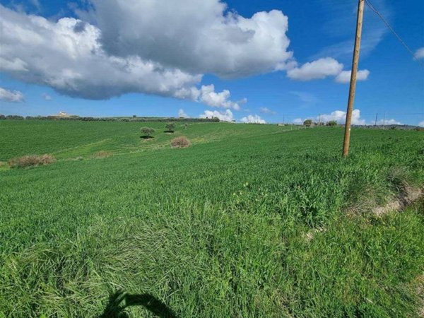 terreno agricolo in vendita a Caltanissetta in zona Prestianni
