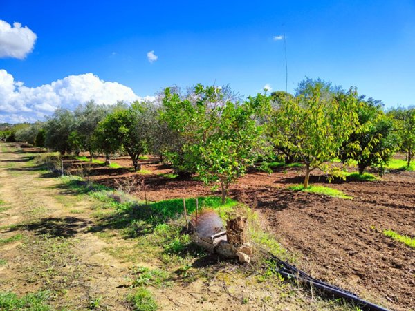 terreno agricolo in vendita a Caltanissetta