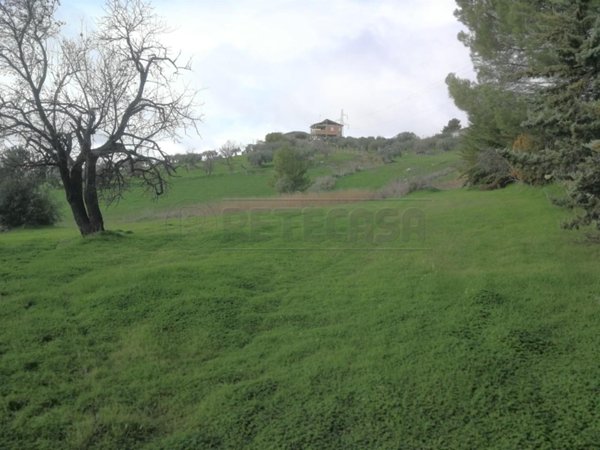 terreno agricolo in vendita a Caltanissetta