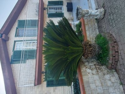 casa indipendente in vendita a Caltanissetta