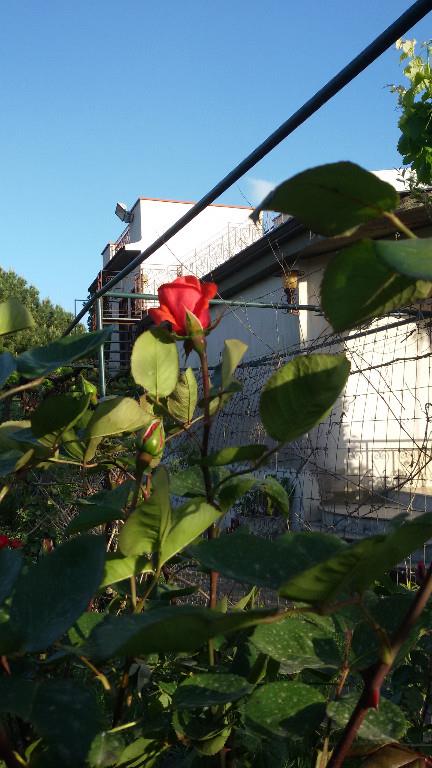 casa indipendente in vendita a Caltanissetta in zona Centro Storico