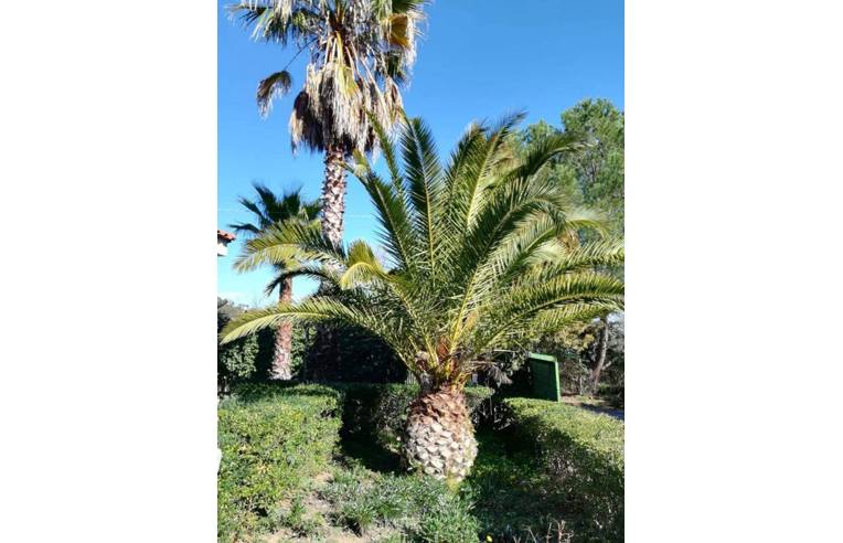 casa indipendente in vendita a Caltanissetta in zona Villaggio Santa Barbara