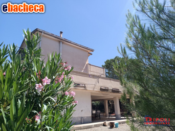 appartamento in vendita a Caltanissetta