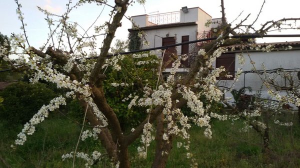 casa indipendente in vendita a Caltanissetta