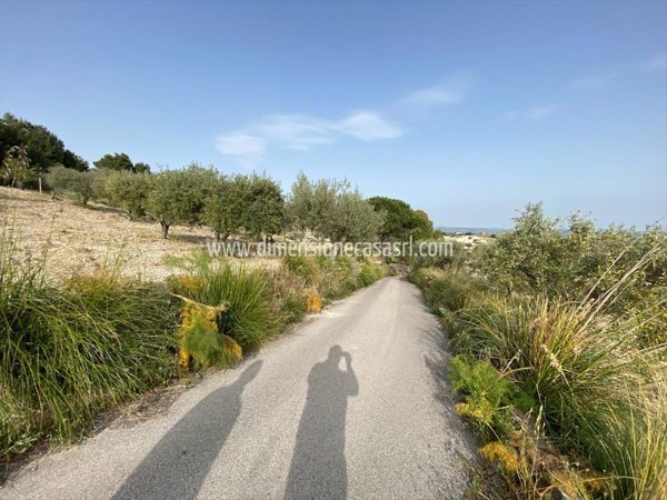 terreno agricolo in vendita a Caltanissetta