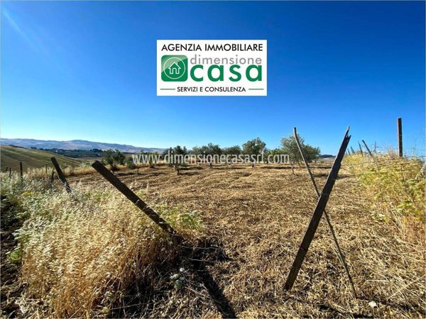 terreno agricolo in vendita a Caltanissetta in zona Cozzo di Naro