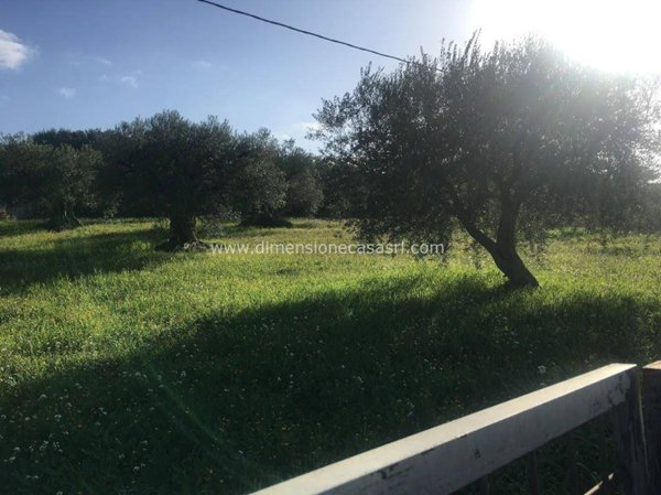 terreno agricolo in vendita a Caltanissetta