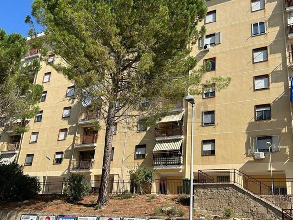 appartamento in vendita a Caltanissetta