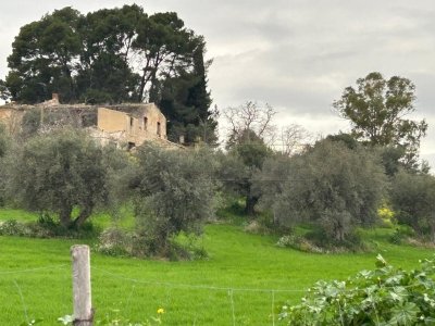 azienda agricola in vendita a Caltanissetta in zona Favarella