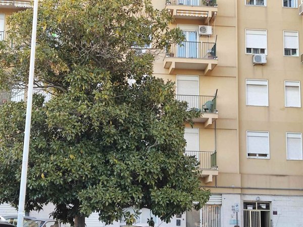 appartamento in vendita a Caltanissetta