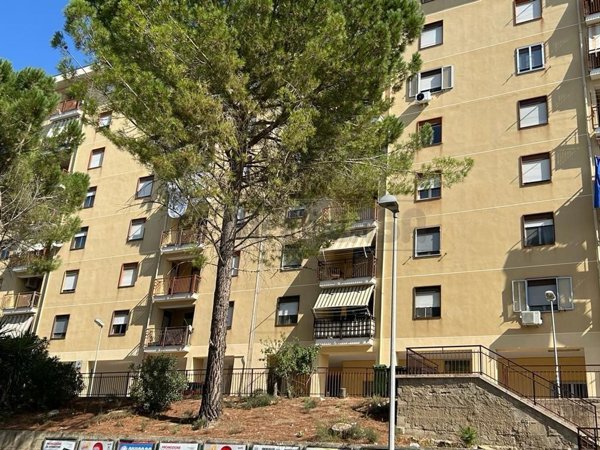 appartamento in vendita a Caltanissetta