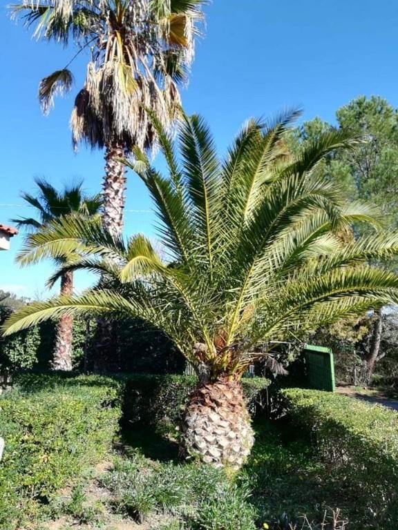 casa indipendente in vendita a Caltanissetta in zona Villaggio Santa Barbara