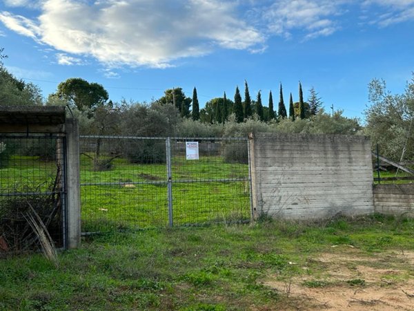 terreno agricolo in vendita a Caltanissetta