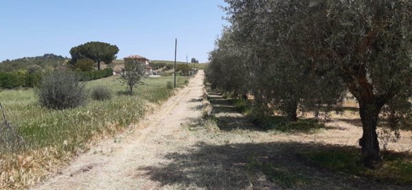 terreno agricolo in vendita a Caltanissetta in zona Favarella