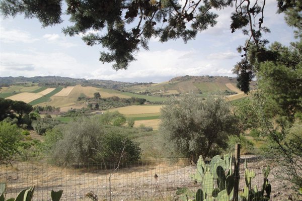 appartamento in vendita a Caltanissetta in zona Borgo Canicassè Casale