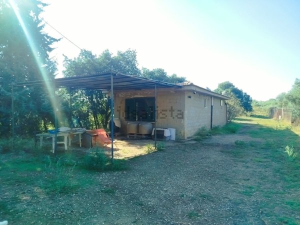terreno in vendita a Caltanissetta