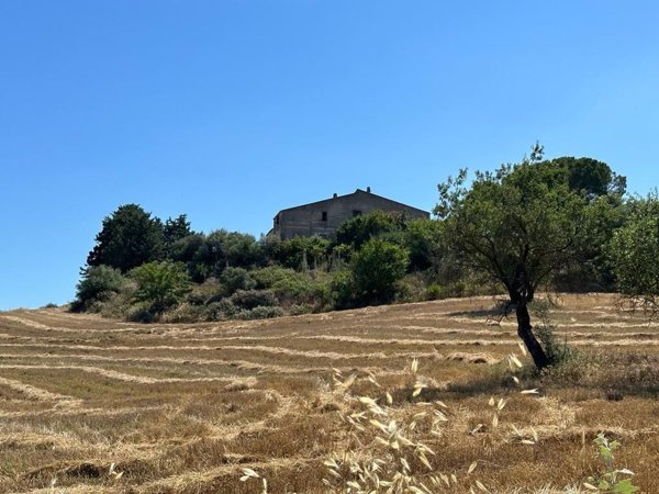 terreno agricolo in vendita a Caltanissetta