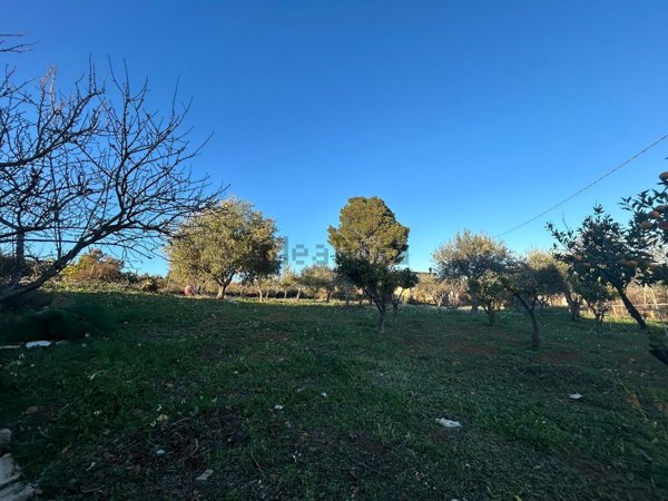 appartamento in vendita a Caltanissetta