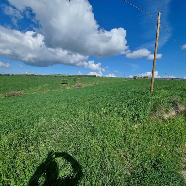 terreno agricolo in vendita a Caltanissetta in zona Prestianni