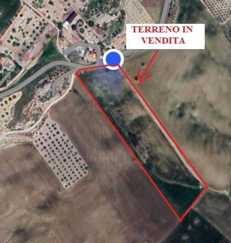 terreno agricolo in vendita a Caltanissetta in zona Favarella