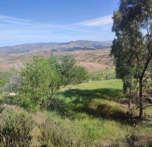terreno agricolo in vendita a Caltanissetta