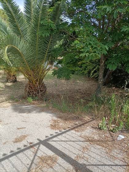 terreno agricolo in vendita a Caltanissetta
