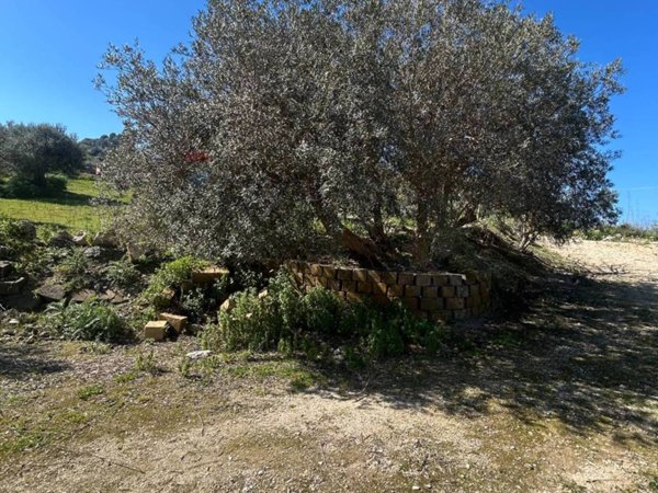 terreno agricolo in vendita a Caltanissetta in zona Centro Storico