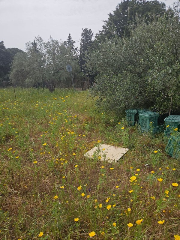 terreno agricolo in vendita a Caltanissetta in zona Centro Storico