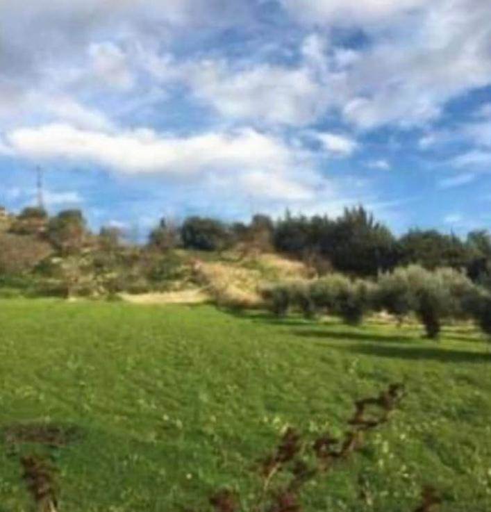 terreno edificabile in vendita a Caltanissetta in zona Poggio Sant'Elia