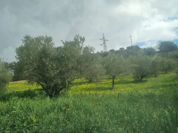 terreno agricolo in vendita a Caltanissetta
