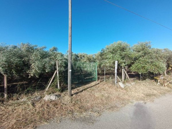 terreno agricolo in vendita a Caltanissetta in zona Torretta