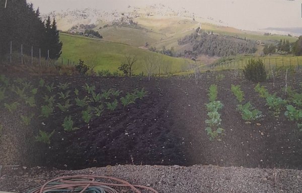 casa indipendente in vendita a Caltanissetta in zona Palmitelli