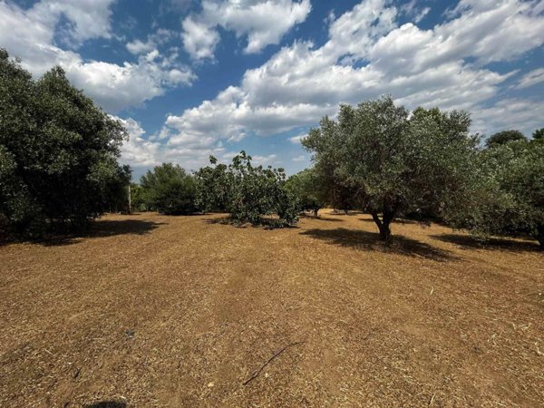 terreno agricolo in vendita a Caltanissetta in zona Borgo Petilia