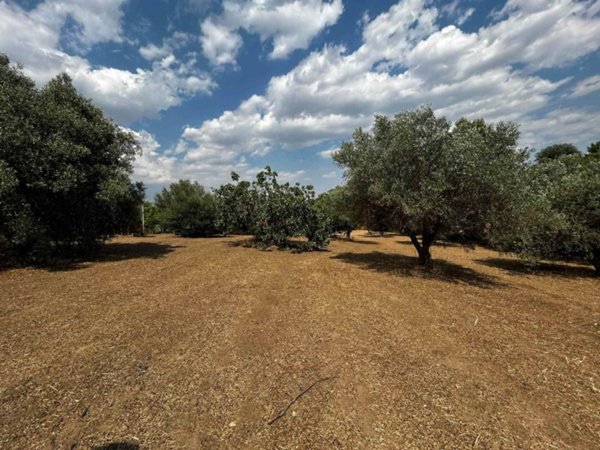 terreno agricolo in vendita a Caltanissetta in zona Borgo Petilia