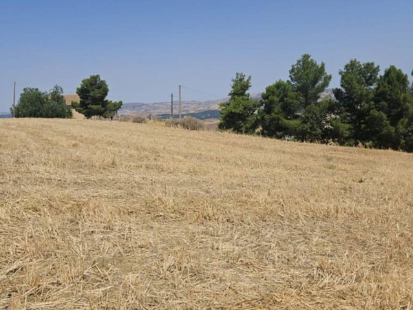 terreno agricolo in vendita a Caltanissetta