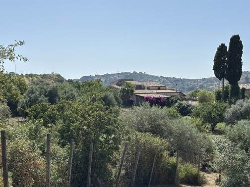 casa indipendente in vendita a Caltanissetta in zona Borgo Petilia