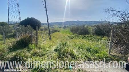 terreno agricolo in vendita a Caltanissetta in zona Borgo Petilia