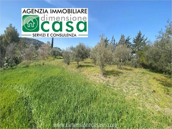 terreno agricolo in vendita a Caltanissetta in zona Borgo Petilia