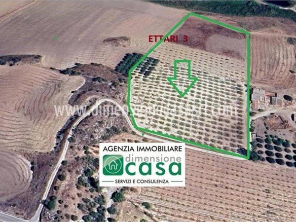terreno agricolo in vendita a Caltanissetta in zona Borgo Petilia