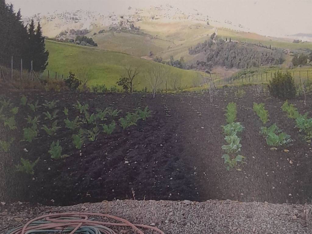terreno agricolo in vendita a Caltanissetta in zona Palmitelli