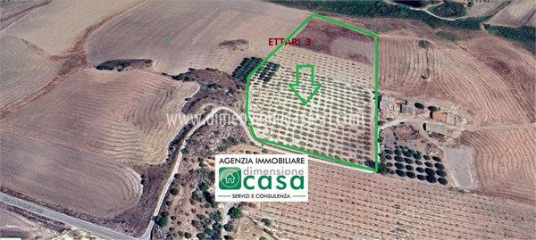 terreno agricolo in vendita a Caltanissetta in zona Borgo Petilia