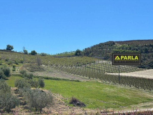 terreno agricolo in vendita a Delia
